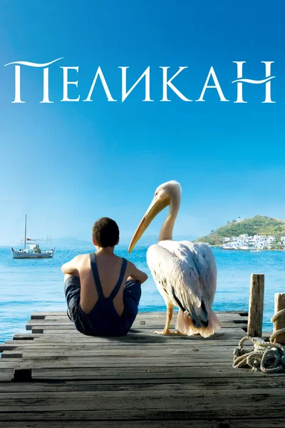Постер: Пеликан